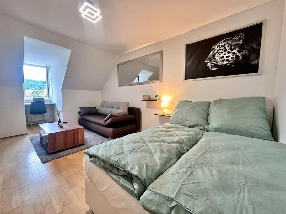 Panorama Schlossberg & Jacuzzi 格拉茨 外观 照片